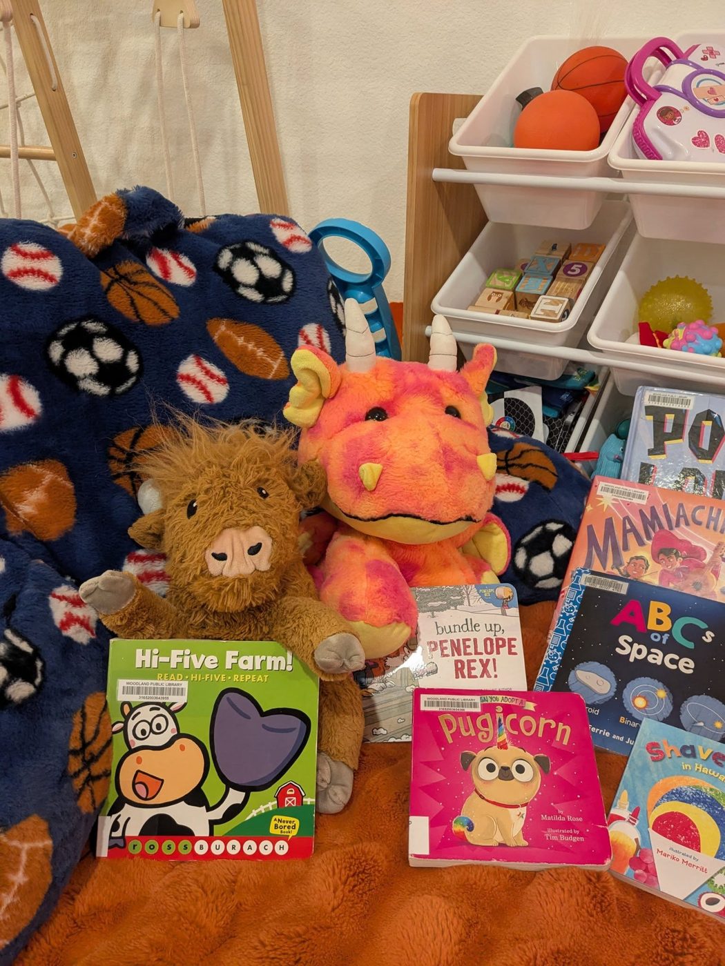 A cozy reading corner with plush toys, a soft blanket and picture books from the Woodland Public Library